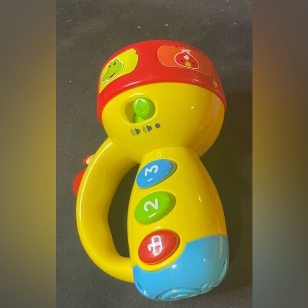 Vtech Flashlight Toy